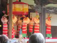 隨心院(随心院)(京都府)