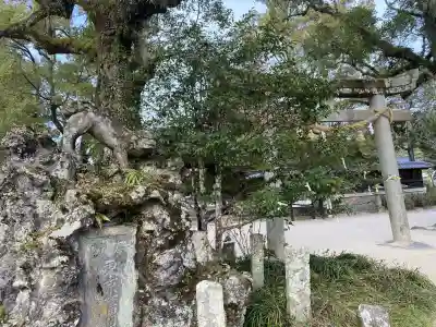 吉香神社の{uncategorized: "未分類", other: "その他", undefined: "問題あり", building: "その他建物", grave: "お墓", sacred_gate: "鳥居", guardian: "狛犬", statue: "像", buddha: "仏像", history: "歴史", nature: "自然", garden: "庭園", animal: "動物", pagoda: "塔", temizu: "手水舎", mountain_gate: "山門・神門", sanctuary: "本殿・本堂", subordinate: "末社・摂社", art: "芸術", scenery: "景色", jizo: "地蔵", ema: "絵馬", goshuin: "御朱印", omikuji: "おみくじ", items: "授与品その他", amulet: "お守り", goshuincho: "御朱印帳", eats: "食事", festival: "お祭り", votive_dance: "神楽", shichigosan: "七五三参", wedding: "結婚式", experience: "体験その他", initially: "初詣", around: "周辺", anti_infection: "感染症対策"}