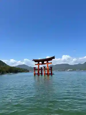 厳島神社の{uncategorized: "未分類", other: "その他", undefined: "問題あり", building: "その他建物", grave: "お墓", sacred_gate: "鳥居", guardian: "狛犬", statue: "像", buddha: "仏像", history: "歴史", nature: "自然", garden: "庭園", animal: "動物", pagoda: "塔", temizu: "手水舎", mountain_gate: "山門・神門", sanctuary: "本殿・本堂", subordinate: "末社・摂社", art: "芸術", scenery: "景色", jizo: "地蔵", ema: "絵馬", goshuin: "御朱印", omikuji: "おみくじ", items: "授与品その他", amulet: "お守り", goshuincho: "御朱印帳", eats: "食事", festival: "お祭り", votive_dance: "神楽", shichigosan: "七五三参", wedding: "結婚式", experience: "体験その他", initially: "初詣", around: "周辺", anti_infection: "感染症対策"}