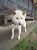 深山 飯盛寺(福井県)