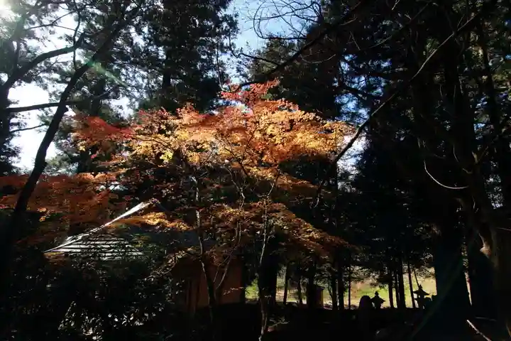 鹿島大神宮の自然