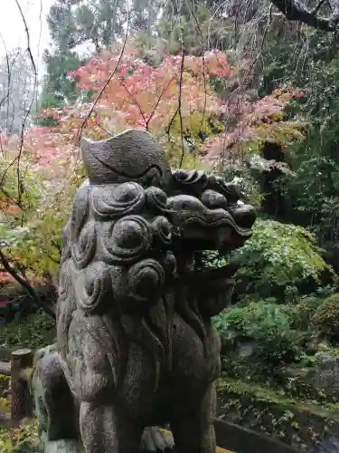 五所駒瀧神社の狛犬