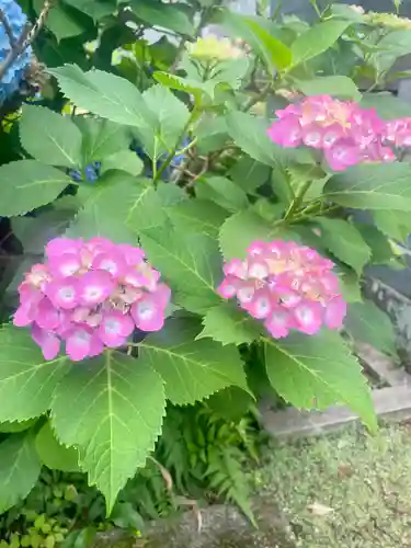 當光寺(東京都)
