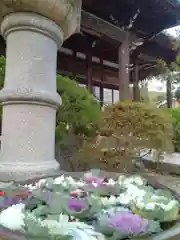 浄誓寺(大阪府)