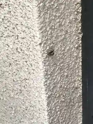 朝日神社(東京都)