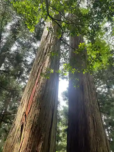 三峯神社の{uncategorized: "未分類", other: "その他", undefined: "問題あり", building: "その他建物", grave: "お墓", sacred_gate: "鳥居", guardian: "狛犬", statue: "像", buddha: "仏像", history: "歴史", nature: "自然", garden: "庭園", animal: "動物", pagoda: "塔", temizu: "手水舎", mountain_gate: "山門・神門", sanctuary: "本殿・本堂", subordinate: "末社・摂社", art: "芸術", scenery: "景色", jizo: "地蔵", ema: "絵馬", goshuin: "御朱印", omikuji: "おみくじ", items: "授与品その他", amulet: "お守り", goshuincho: "御朱印帳", eats: "食事", festival: "お祭り", votive_dance: "神楽", shichigosan: "七五三参", wedding: "結婚式", experience: "体験その他", initially: "初詣", around: "周辺", anti_infection: "感染症対策"}