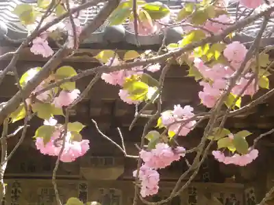 光触寺(神奈川県)