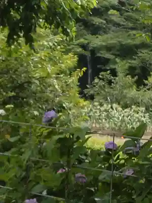 出雲大社信達講社(山舟生出雲大社)(福島県)