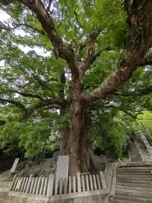 岡上神社(徳島県)