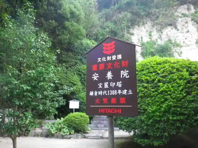 安養院 (田代寺)の歴史