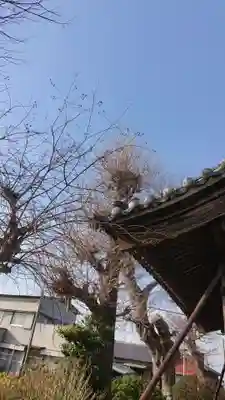 久多神社（東畑）のその他建物