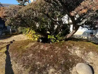 本誓院（曼陀羅寺塔頭）(愛知県)