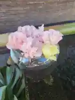 上尾御嶽神社の手水舎