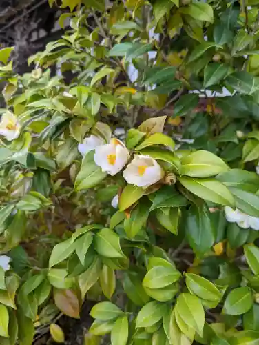 蓮華王院（三十三間堂）(京都府)