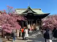 桜神宮(東京都)