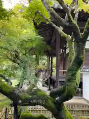 西寿寺(京都府)