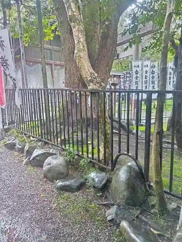 白金龍王社(愛知県)