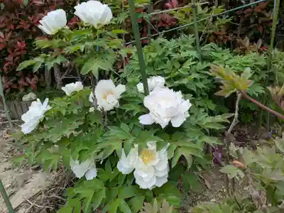 本覚寺(岐阜県)