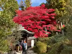 榮攝院（栄摂院）(京都府)