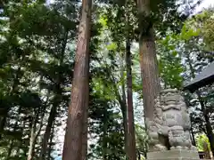 山家神社の自然