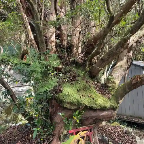 権現坂祠(神奈川県)