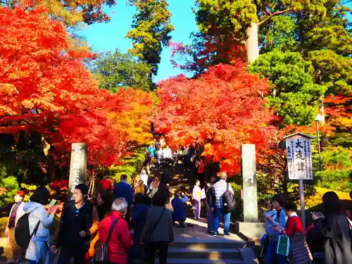 円覚寺の自然