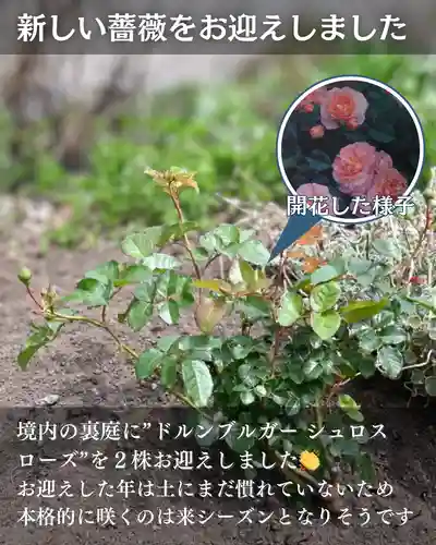 宝光寺(北海道)
