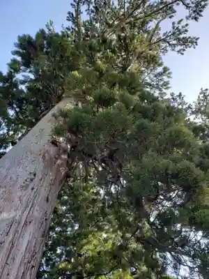 水宮神社の自然