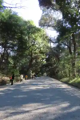 明治神宮(東京都)