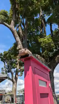 玉田神社(京都府)