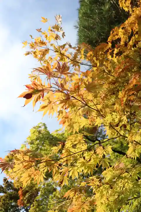 輪王寺(栃木県)