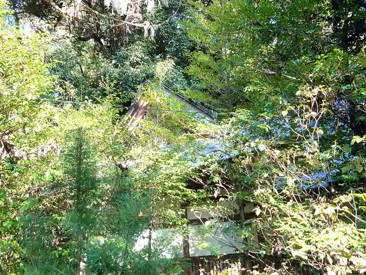 小鹿神社(埼玉県)