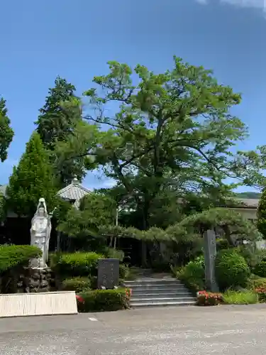 宝蔵寺(岐阜県)