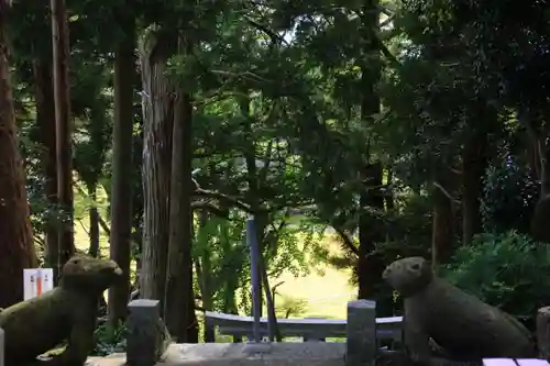 阿久津「田村神社」（郡山市阿久津町）旧社名：伊豆箱根三嶋三社の狛犬