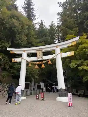 宝登山神社(埼玉県)