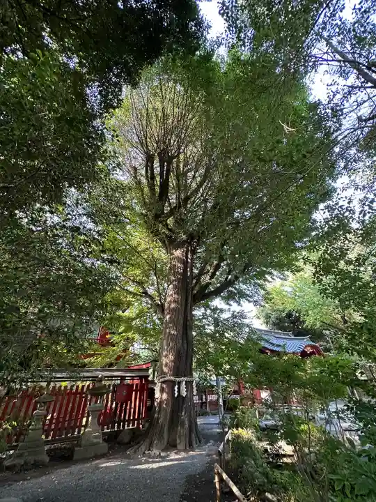 秩父神社(埼玉県)