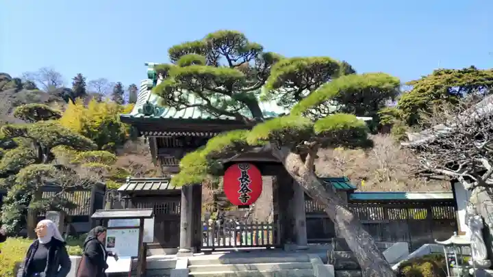 長谷寺の山門・神門
