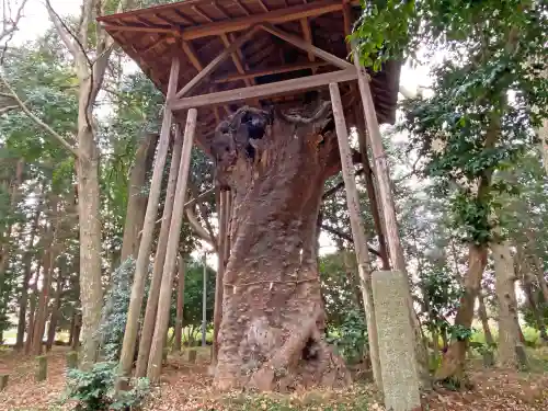 中氷川神社の自然