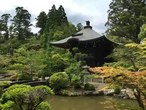 清凉寺の庭園