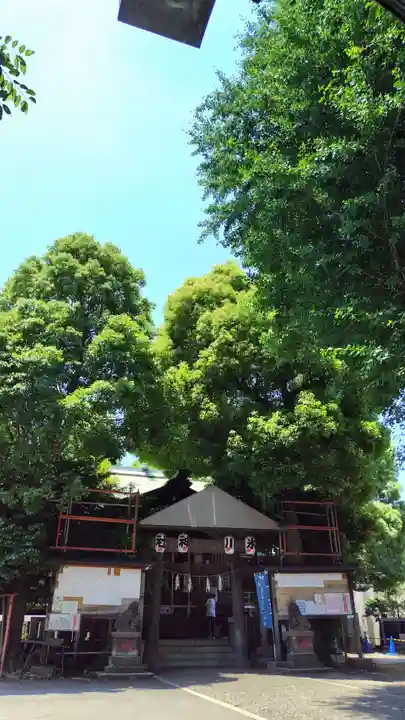 幡ケ谷氷川神社(東京都)