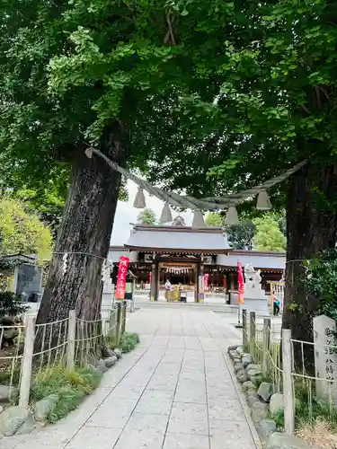 亀ケ池八幡宮(神奈川県)