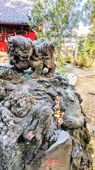 今井神社の狛犬