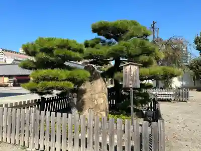 四天王寺(大阪府)