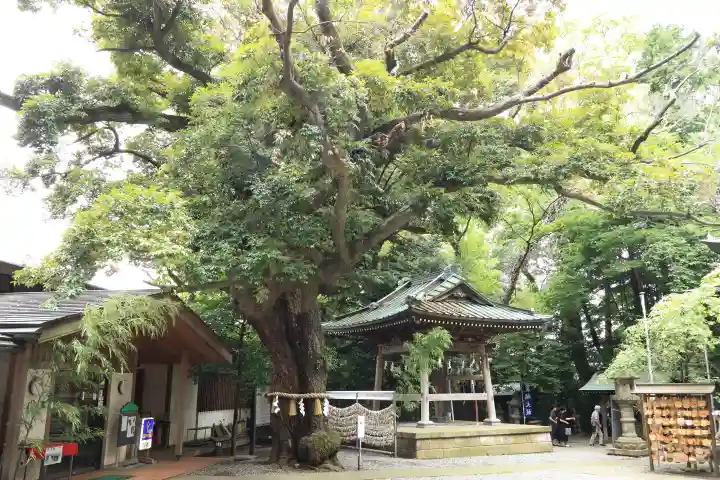 座間神社(神奈川県)