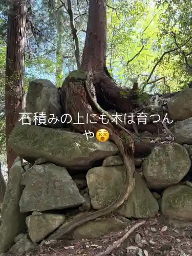 観音正寺の{uncategorized: "未分類", other: "その他", undefined: "問題あり", building: "その他建物", grave: "お墓", sacred_gate: "鳥居", guardian: "狛犬", statue: "像", buddha: "仏像", history: "歴史", nature: "自然", garden: "庭園", animal: "動物", pagoda: "塔", temizu: "手水舎", mountain_gate: "山門・神門", sanctuary: "本殿・本堂", subordinate: "末社・摂社", art: "芸術", scenery: "景色", jizo: "地蔵", ema: "絵馬", goshuin: "御朱印", omikuji: "おみくじ", items: "授与品その他", amulet: "お守り", goshuincho: "御朱印帳", eats: "食事", festival: "お祭り", votive_dance: "神楽", shichigosan: "七五三参", wedding: "結婚式", experience: "体験その他", initially: "初詣", around: "周辺", anti_infection: "感染症対策"}
