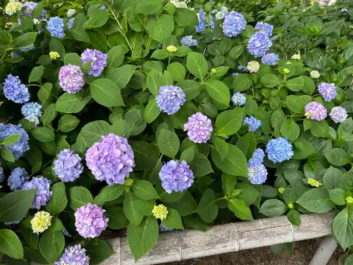 能護寺(埼玉県)
