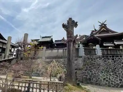 羽黒神社(岡山県)