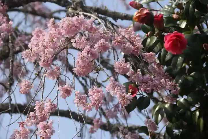 瑞雲寺(福島県)