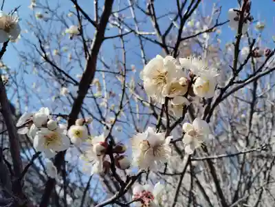 天満宮(群馬県)