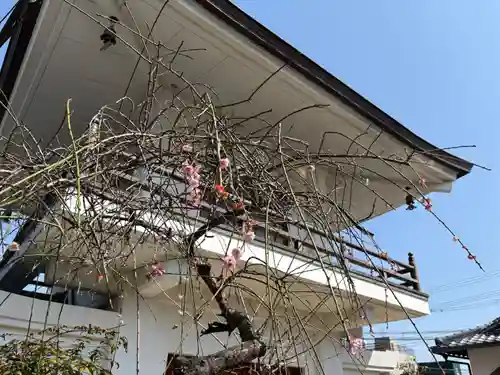 滝勝寺(兵庫県)